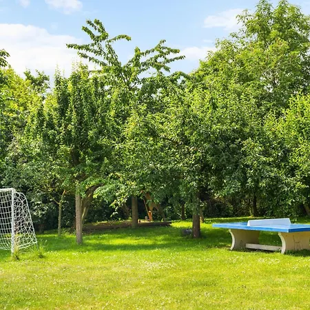 Reethaus Mertinat -7 Sz- Seeblick Tatil Evi